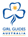 Guides logo