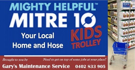 Kids trolley